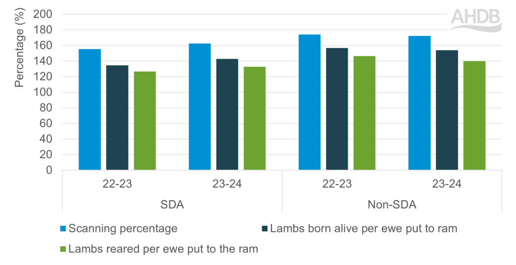 Chart showing KPIs for SDA and Non-SDA breeding flock 2022-23 vs 2023-24